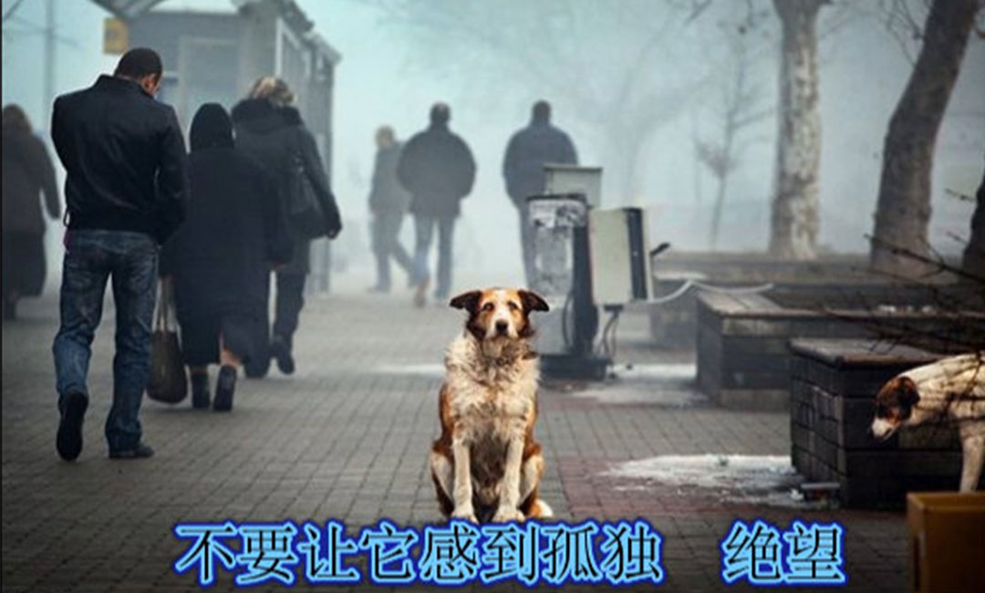 临沧临沧爱影圈微博微信转发案例